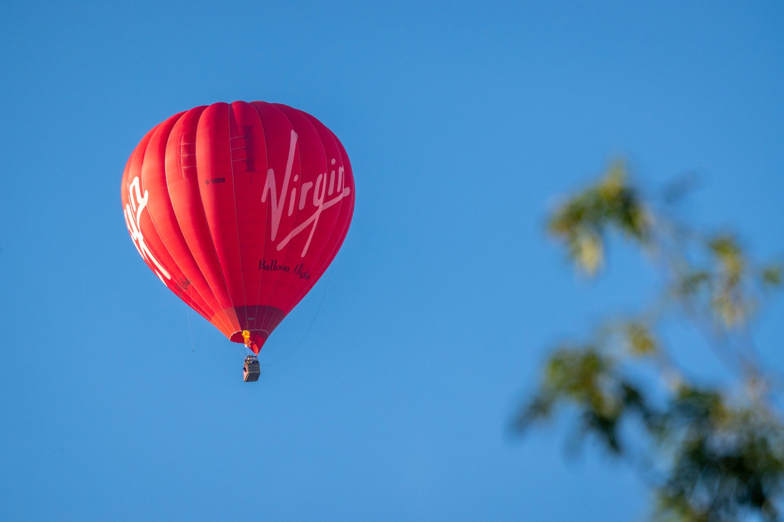 Bristol balloon festival