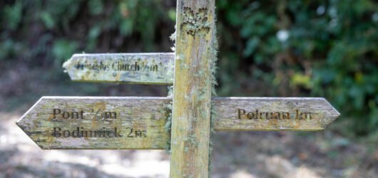 Fowey Hall walk