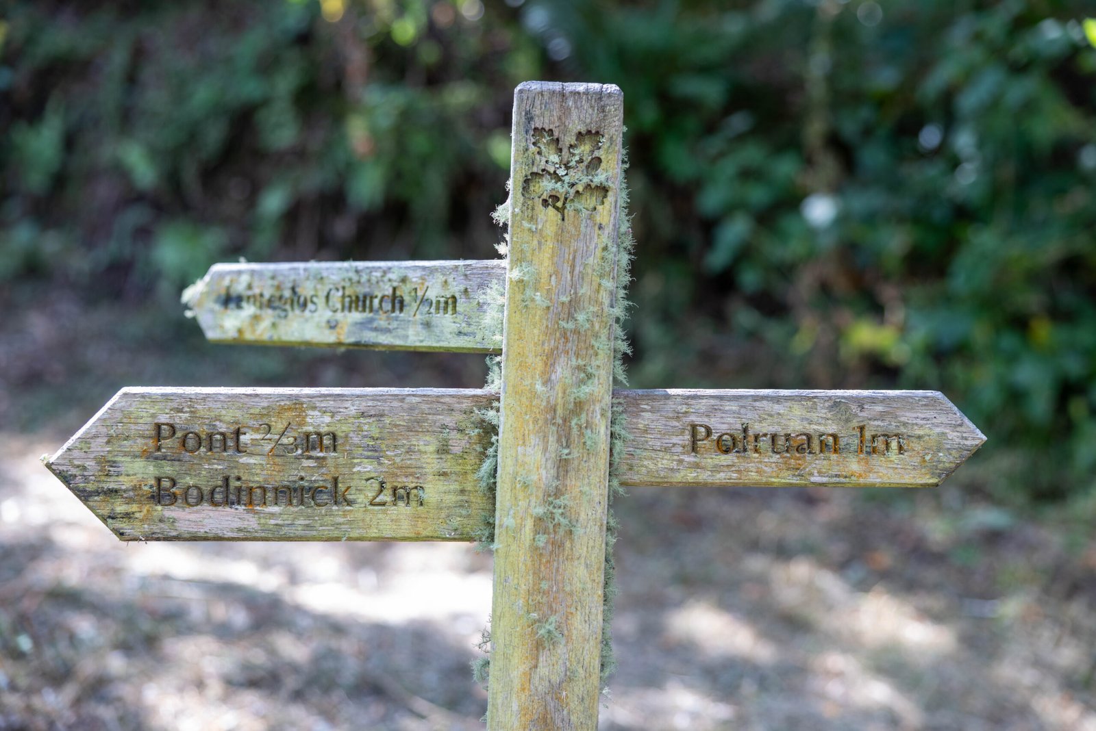 Fowey Hall walk